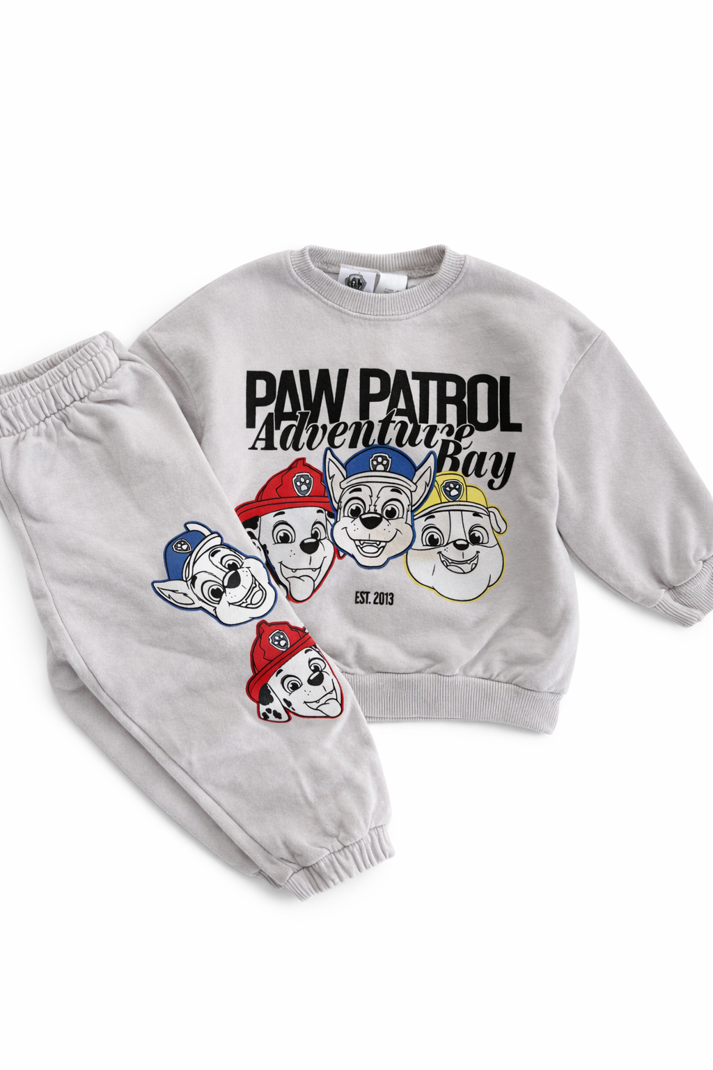 PAW PETROL TAKIM - 1